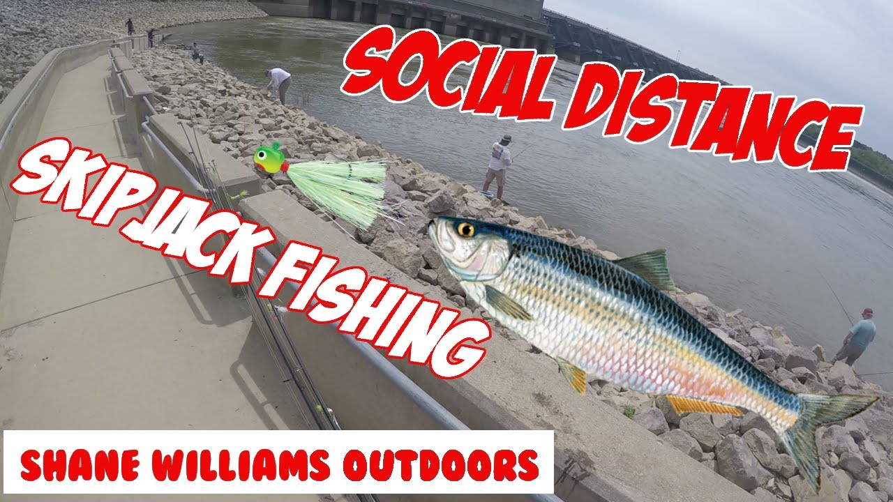 Social Distance Skipjack Fishing - Barkley Dam - Shane Williams Outdoors