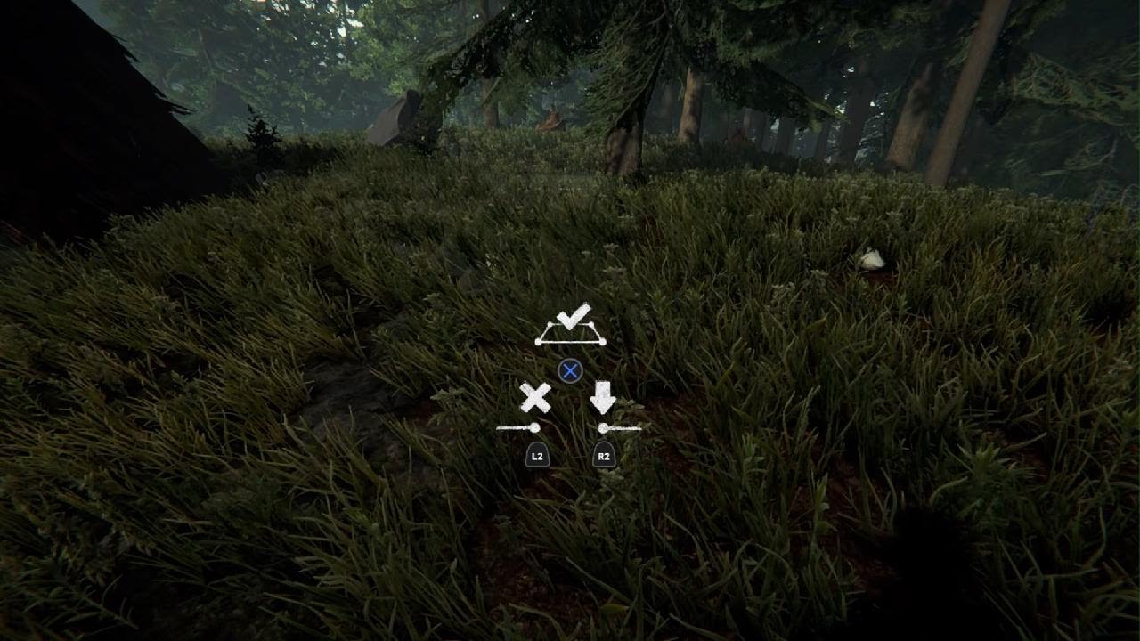 The Forest Challenge DAY TWO