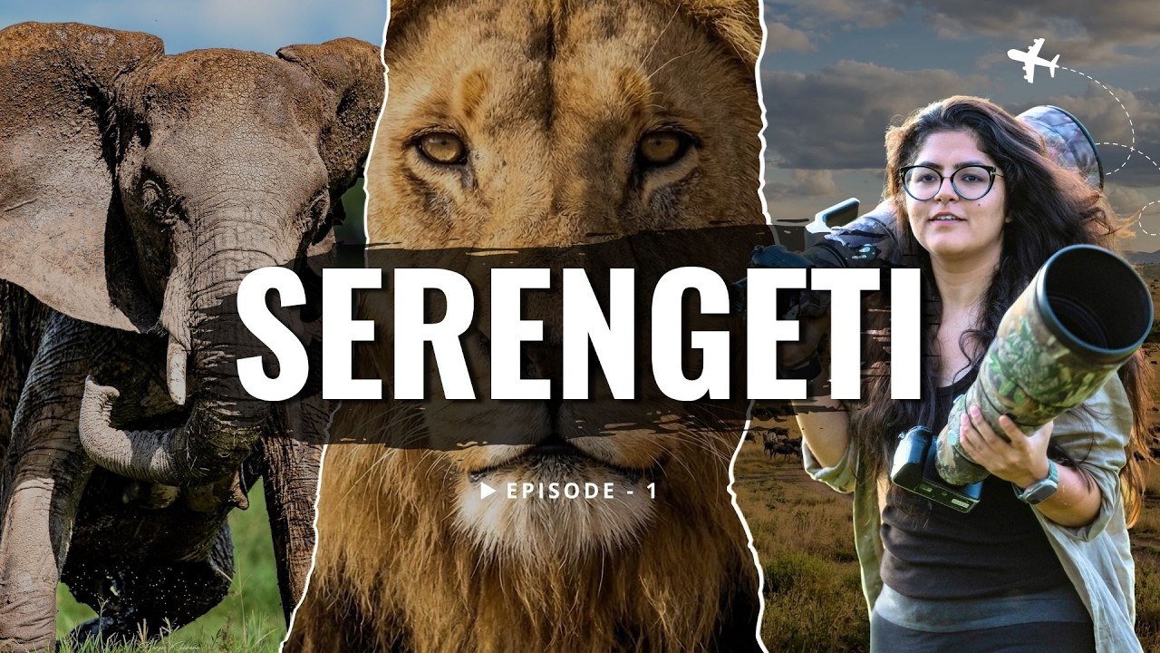 A Day in the Serengeti: Lions, Elephants & Unbelievable Wildlife! (Episode - 1)