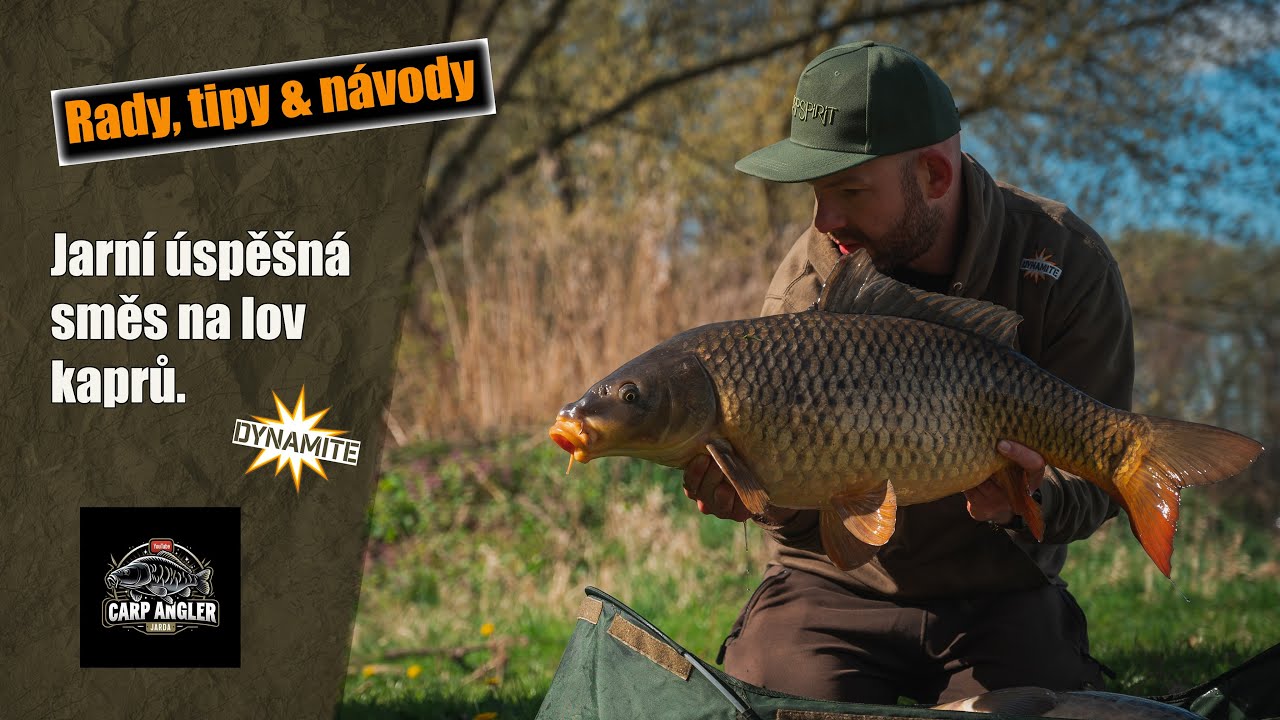 Jarní kaprařina- Příprava efektivního krmení
