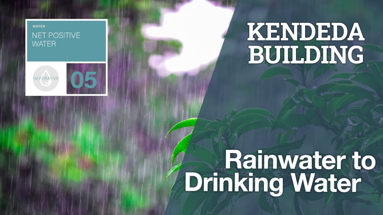 Rainwater to Drinking Water