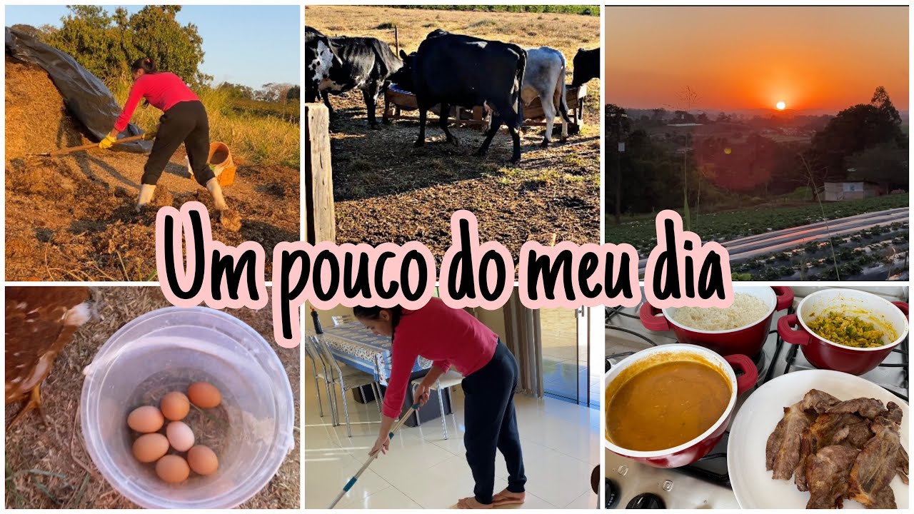 MINHA ROTINA COMO DONA DE CASA MORANDO NA ROÇA | CUIDEI DA CASA | TRATEI DOS ANIMAIS || RECOLHI OVOS