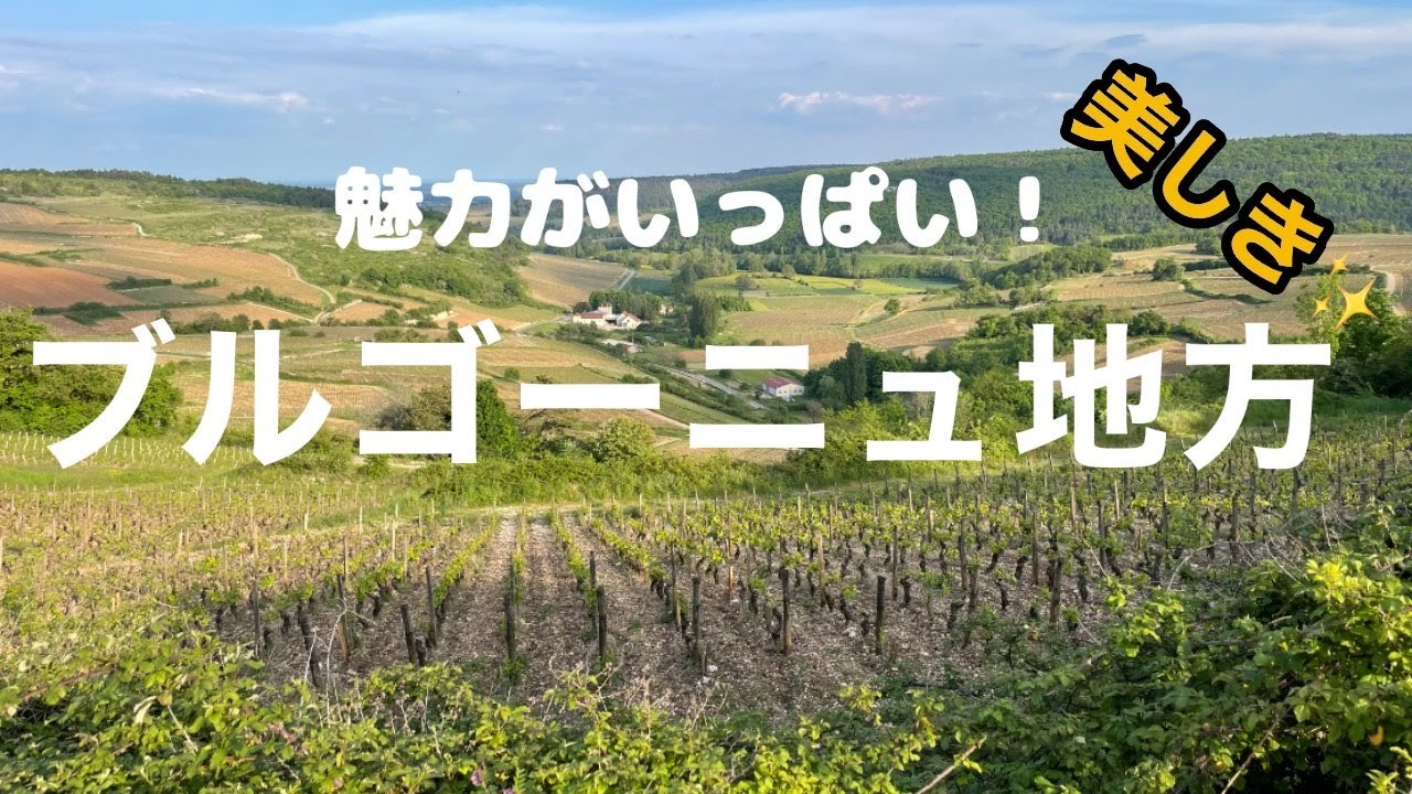 フランス最高級のワインの産地ブルゴーニュ地方コートドール県コートドボーヌに魅せられて La beauté de la Côte de Beaune en Bourgogne