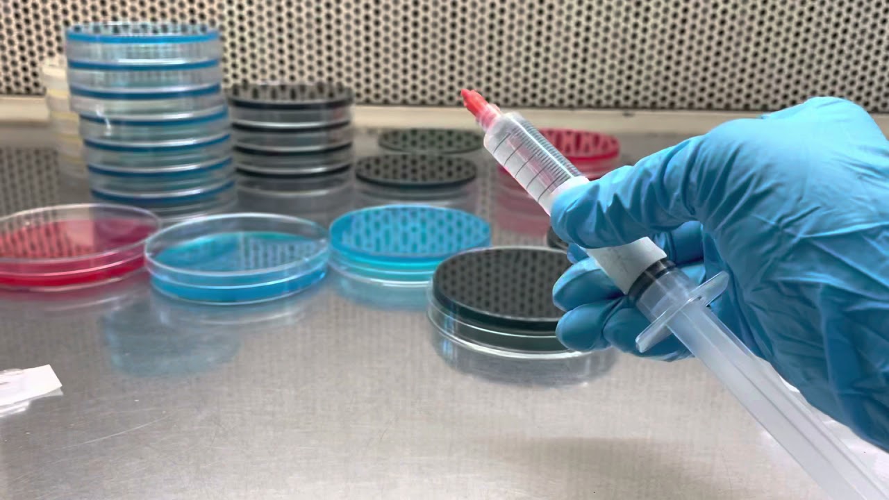 LC to agar (micro-drop)