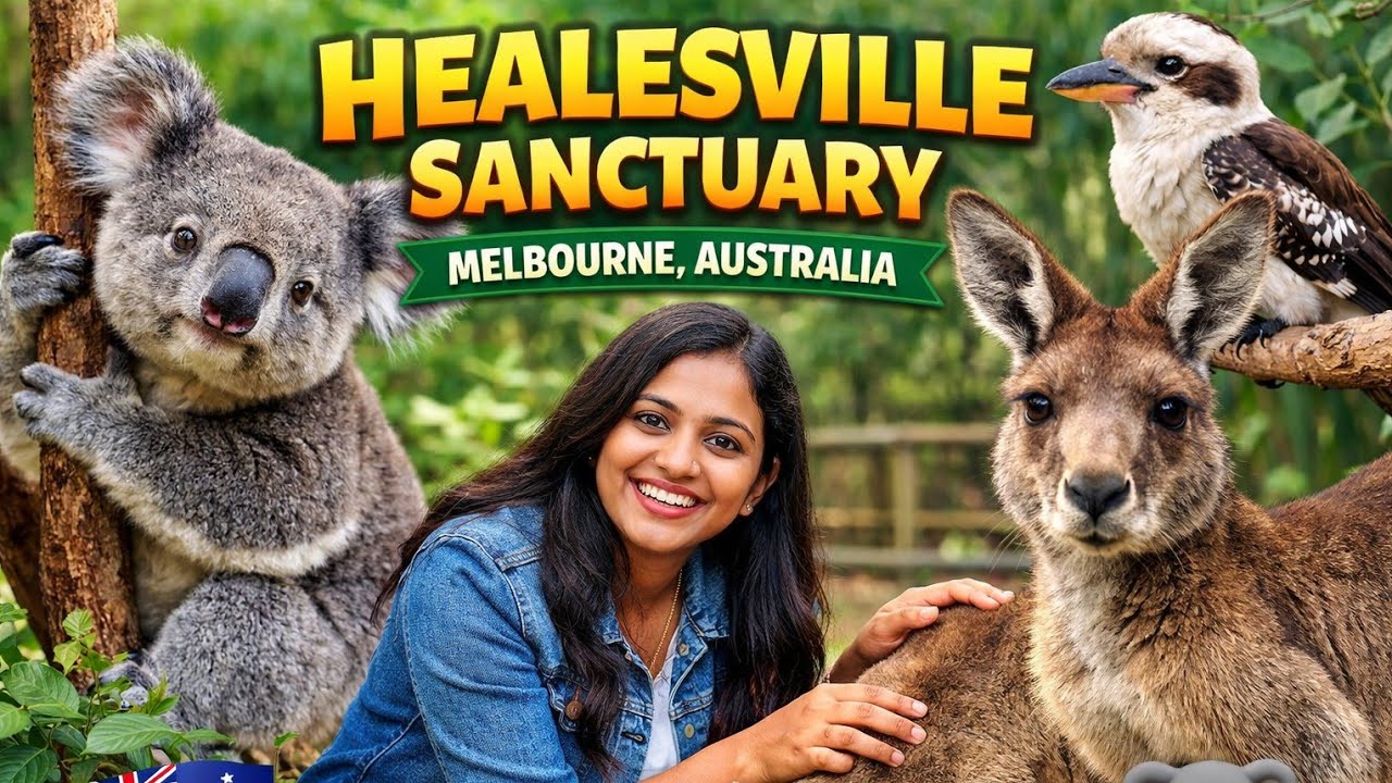 Healesville Sanctuary Melbourne 🇦🇺 | Kangaroos, Koalas & Aussie Wildlife Up Close 🐨🦘