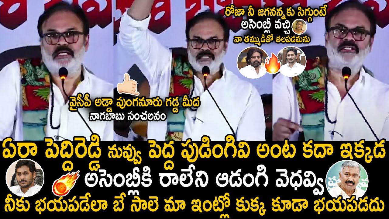 Naga Babu Daring Comments On Peddireddy Ramachandra Reddy And YS Jagan | Pawan Kalyan | Sahithi Tv