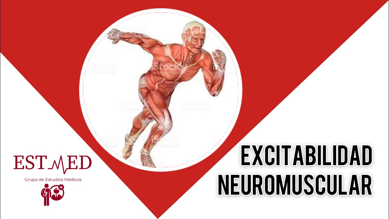 Excitabilidad Neuromuscular - Fisiolog&iacute;a II