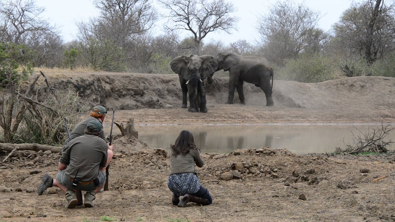Kruger Walking Safari - Africa on Foot