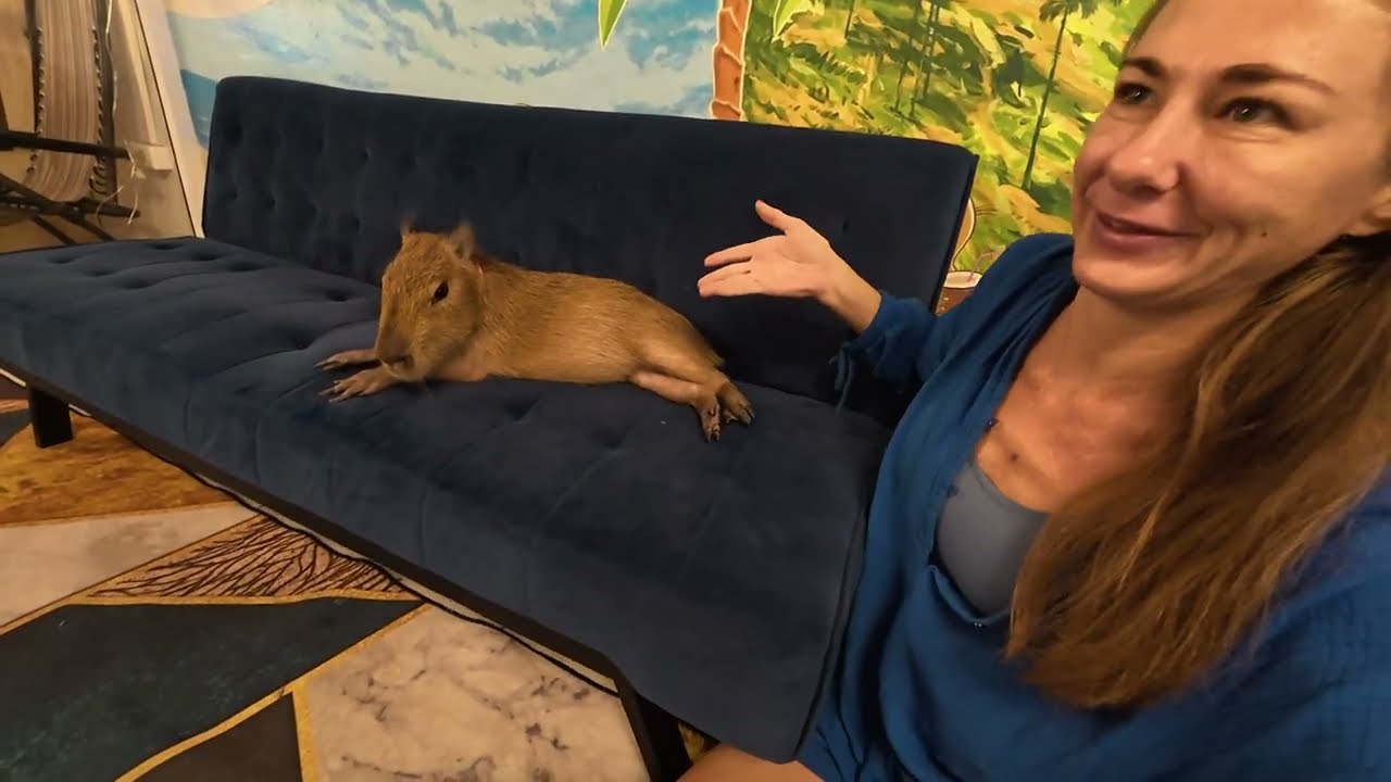 Petting Capybaras in a Phuket Café?! 🐾 | Cozy Animal Date in Thailand