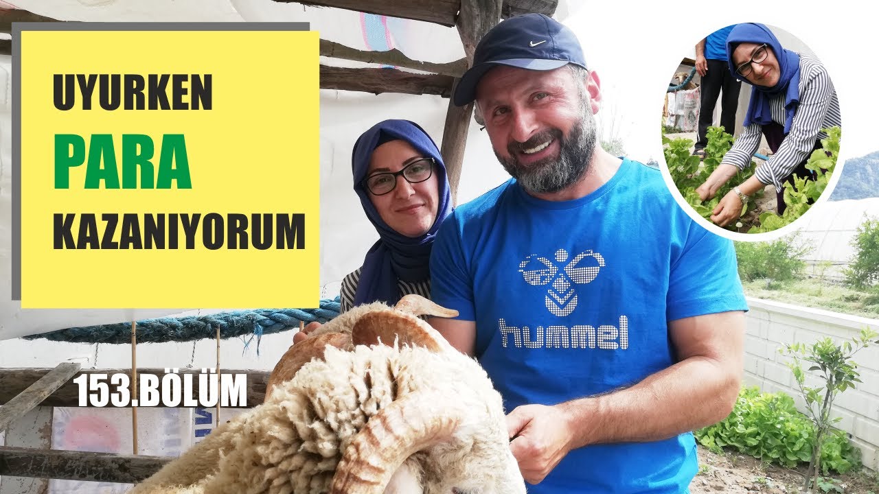 Köye Göçüp bedava arazi kiraladı çiftçilik yapıyor