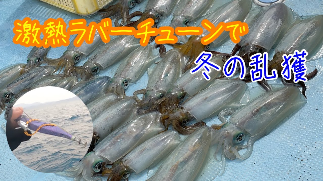 冬のエギング大作戦8【ラバーチューンで乱獲】