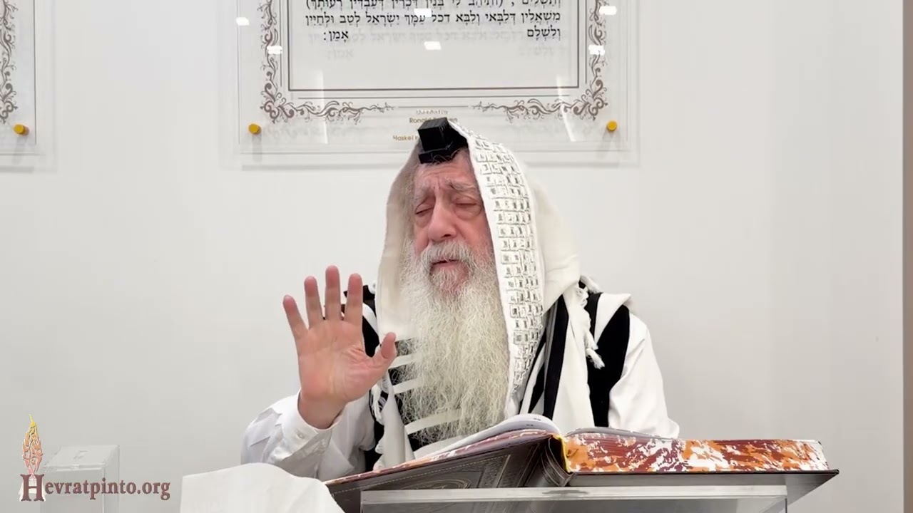 Par la Torah, l’homme peut atteindre le niveau d’un ange