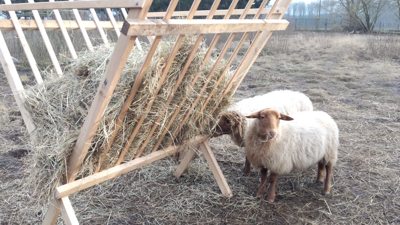 Futterkrippe für die Schafe selber bauen
