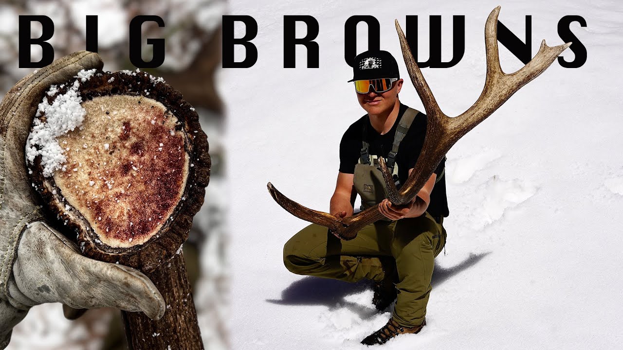 FIRST BROWNS OF THE YEAR | SHEDHUNT [EP 2]