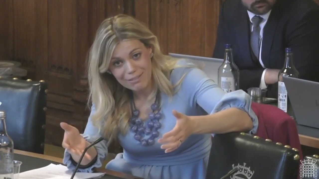 education select committee  Jane Harris Supercut 2023