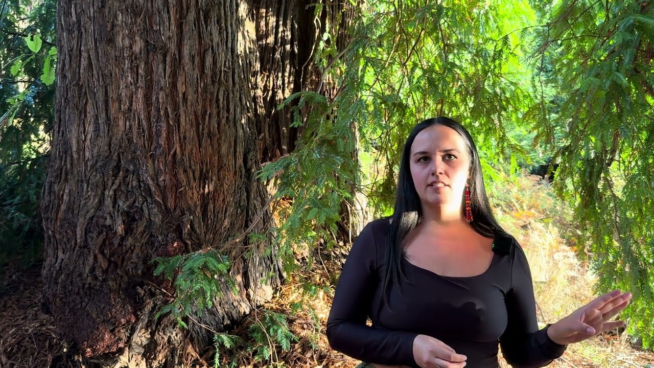 Indigenous Economics ENOUGHNESS  The Prequel Student Interview