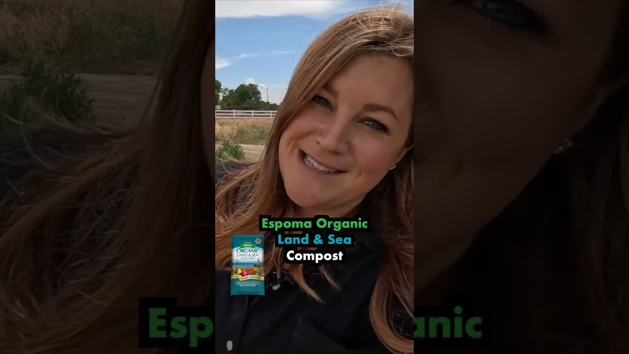 Feed the Veggies! 🍅🫑🥕// Garden Answer