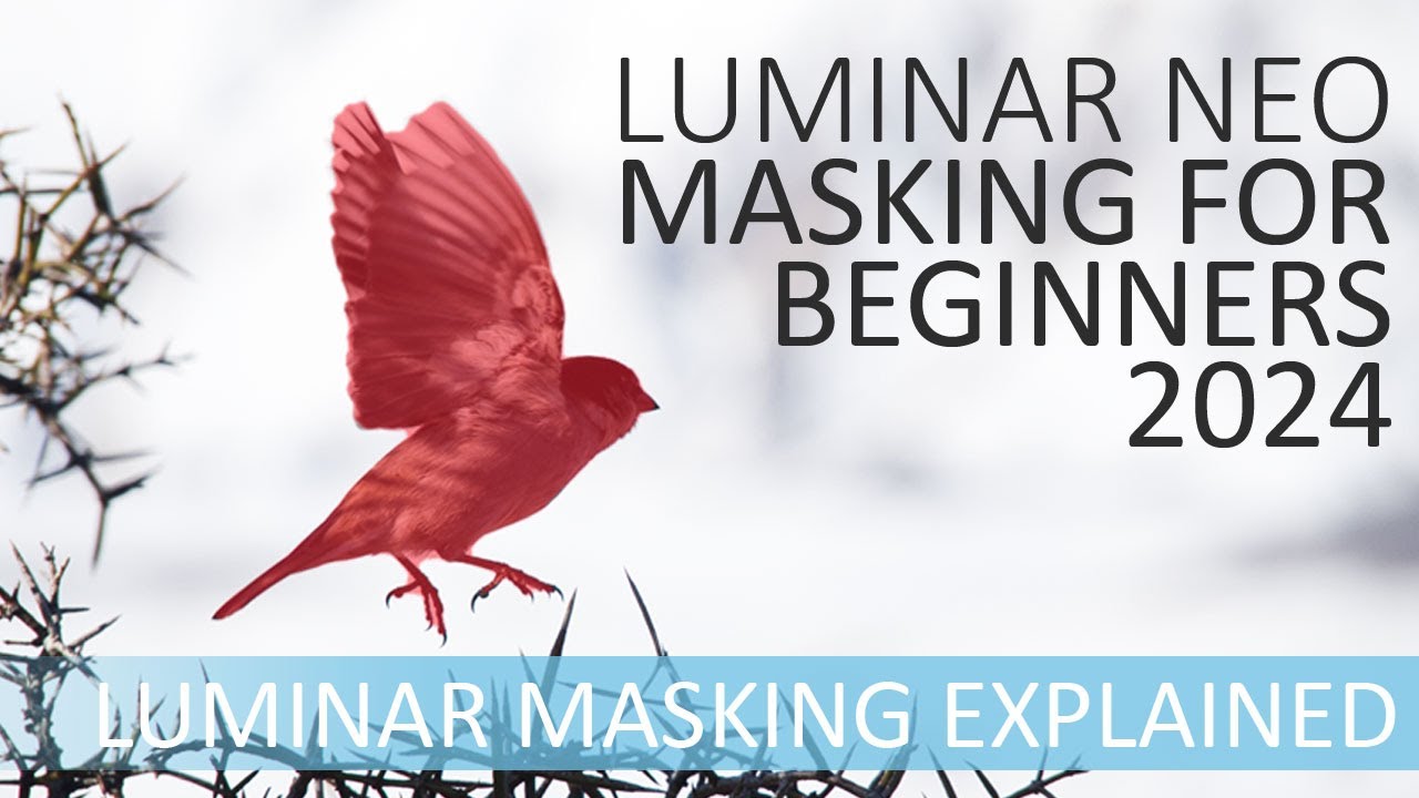 Как использовать маски в Luminar Neo — руководство для начинающих