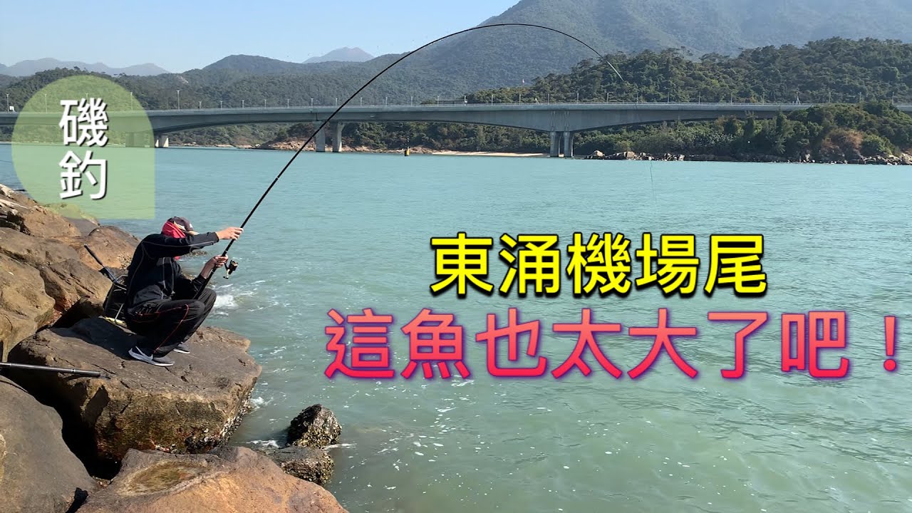 香港釣魚｜東涌機場尾磯釣這魚也太大條了吧 步兵也能釣上大魚