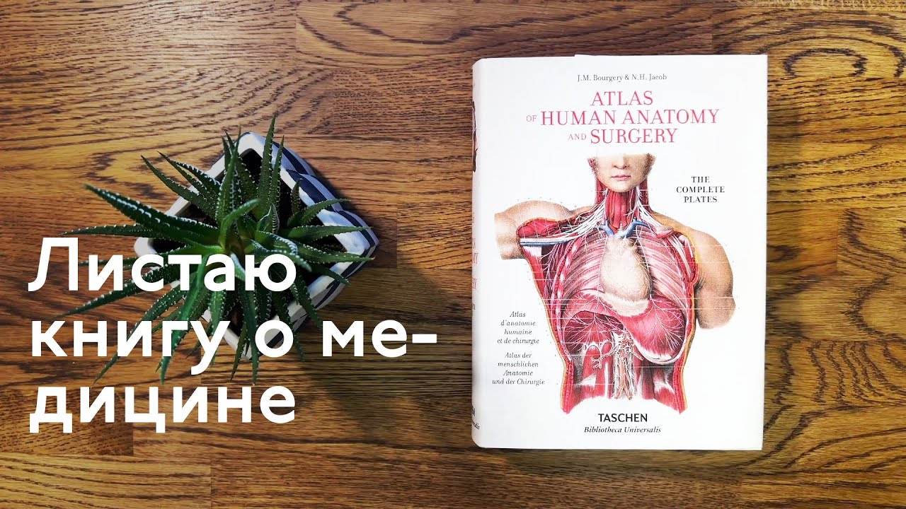 Листаю книгу Atlas of Human Anatomy and Surgery