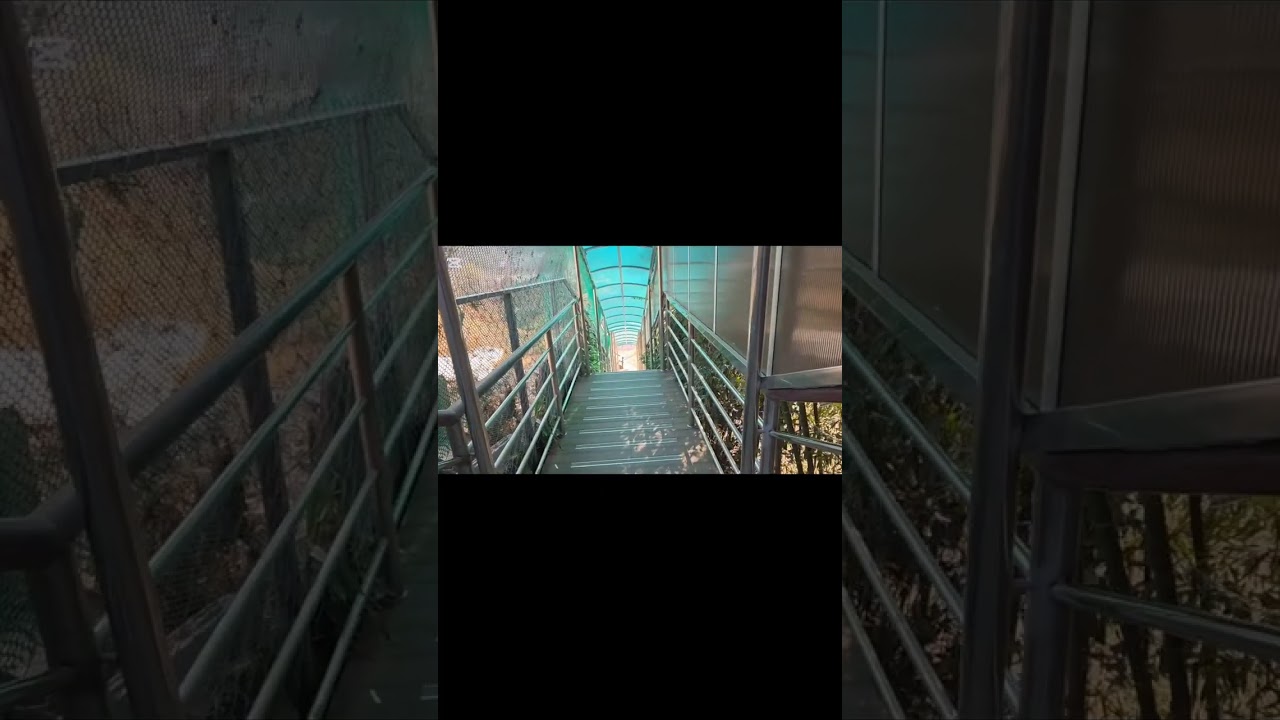 @당뇨극복일기 3일차