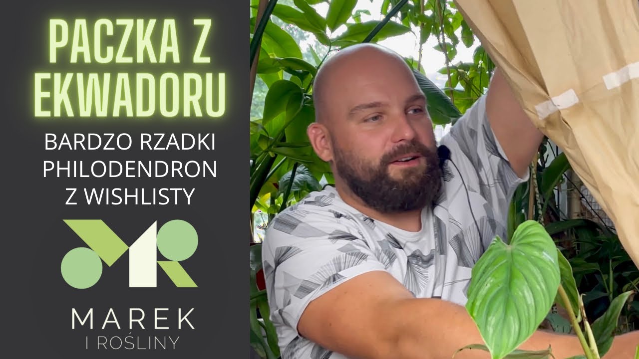 Paczka z Ekwadoru. Kolekcjonerski filodendron z wishlisty oraz kilka innych (w różnym stanie)
