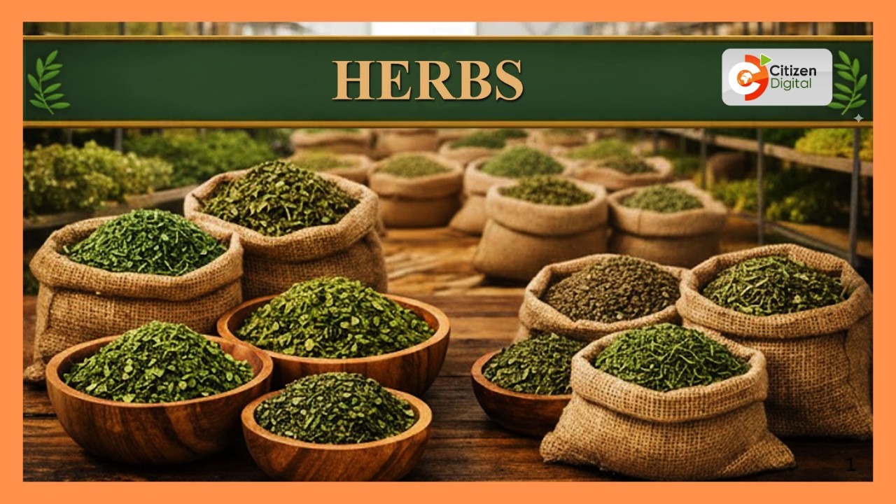 Kenya's Gold | Herbs Farming | Gold chat |