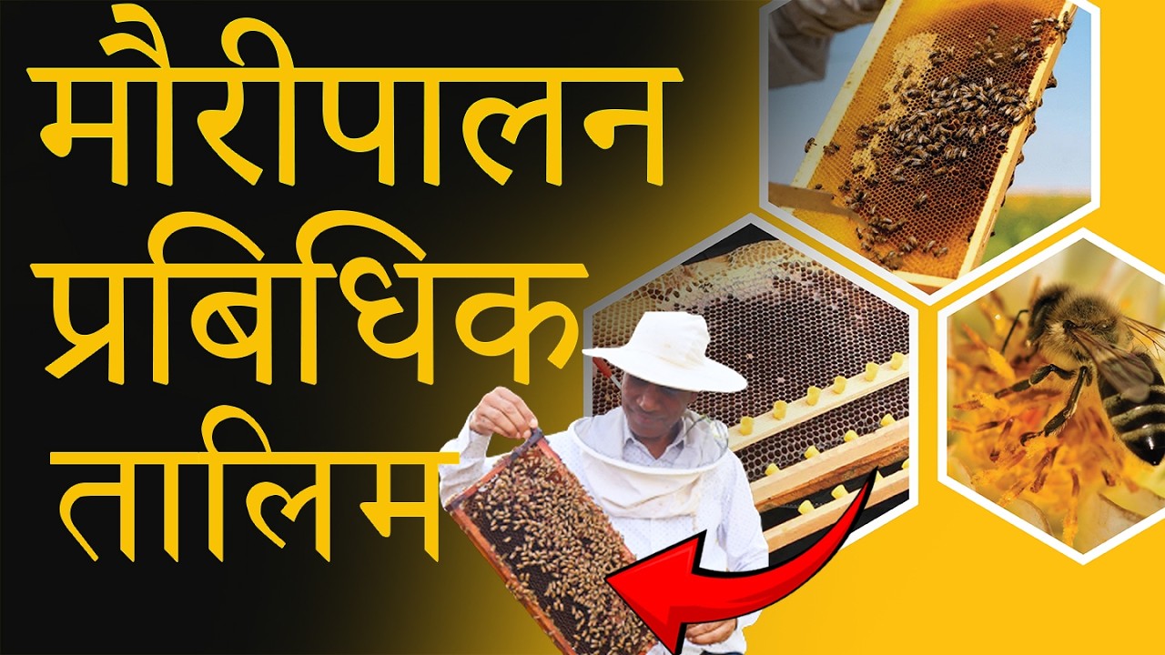 मौरीपालनको लागि प्रबिधिक तालिम | Online Training