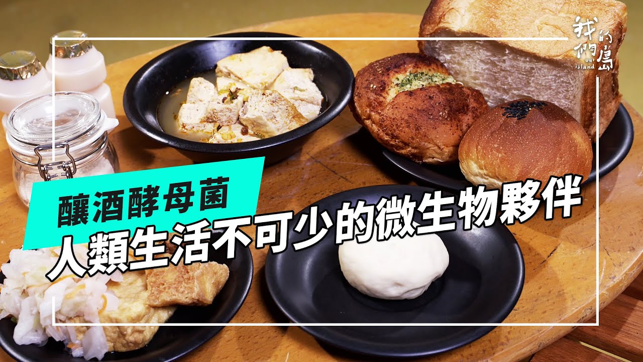 世界NO.1台灣野生釀酒酵母菌｜基因遺傳多樣性豐富(我們的島 第1238集 2024-01-08)