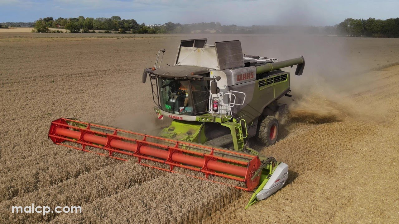 4Kᵁᴴᴰ Harvest 2023: CSA Farm's Claas Lexion 750 TT combine working near Saxted in Suffolk