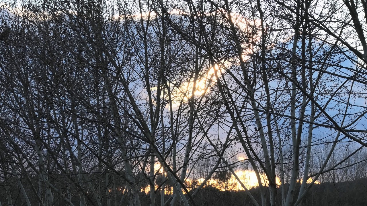 iZenTzu - Panasonic HC-VX11 Sunset Dynamic