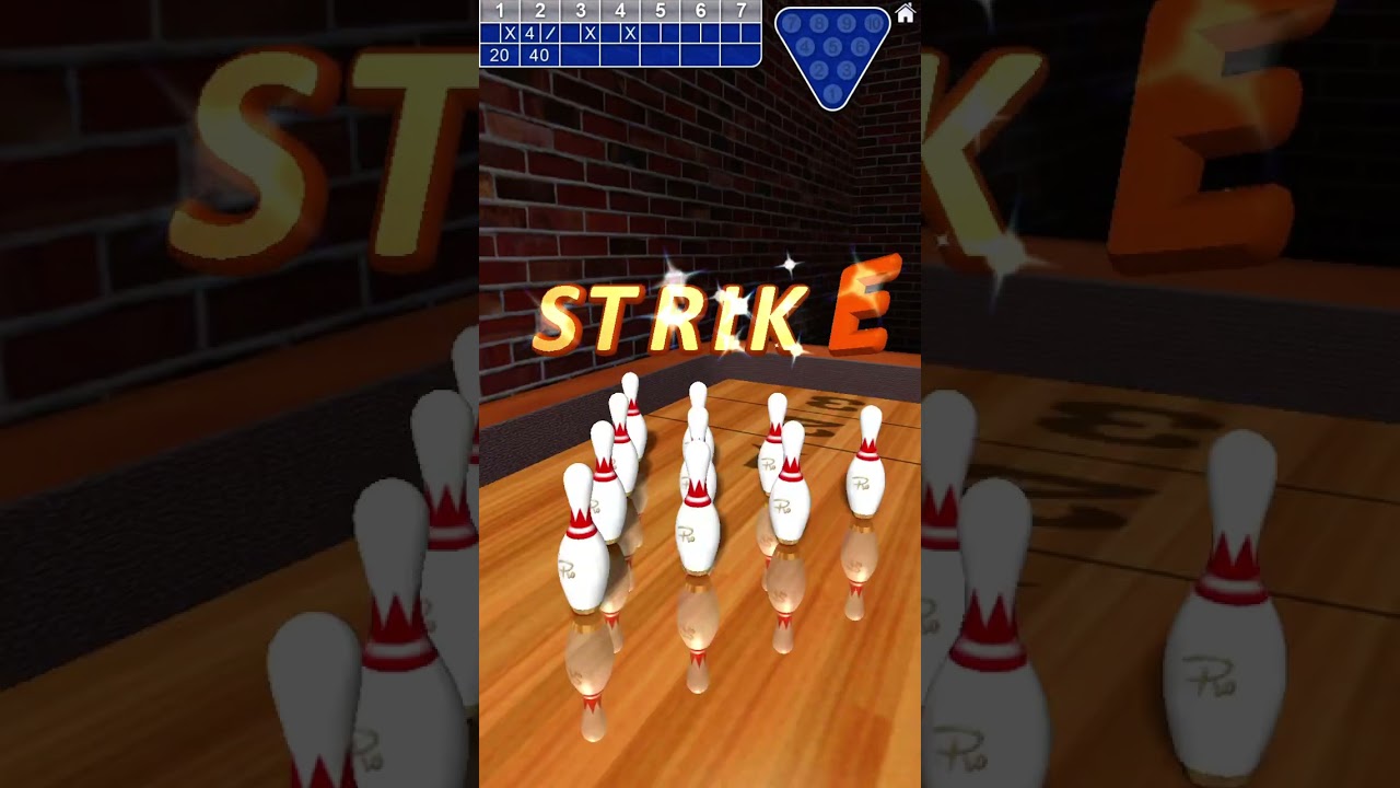 Shuffleboard Bowling