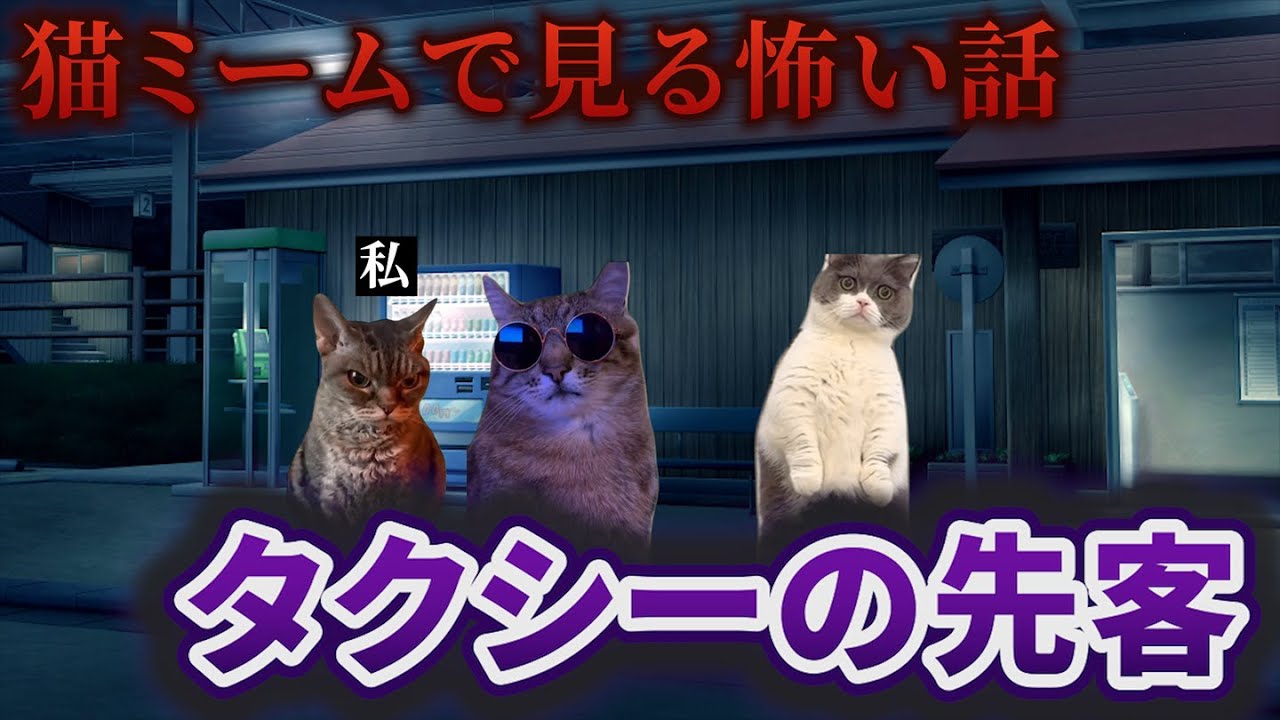 【猫ミーム】×【怖い話】タクシーの先客 #猫マニ #怖い話