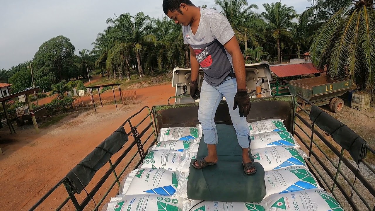 taucu ajar saya buka canvas trailer kargo 4axle