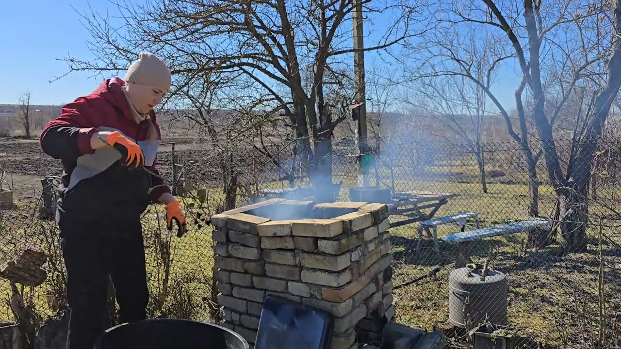 Не люблю розы! Колючие...Обрезка огромного куста клематиса...Сжигаю в коптильне)
