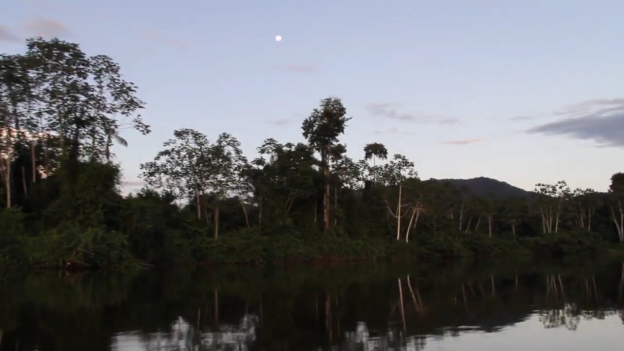 Our planet is beautiful and the Amazonia region is magnificent! Just watch &ndash; freeze the moment.
