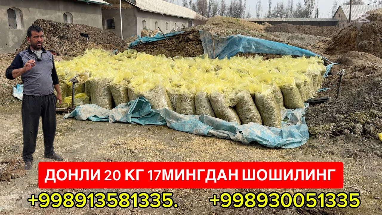 СИЛОС ДОНЛИ 20 КГ 17 МИНГДАН ДОСТАВКА БОР