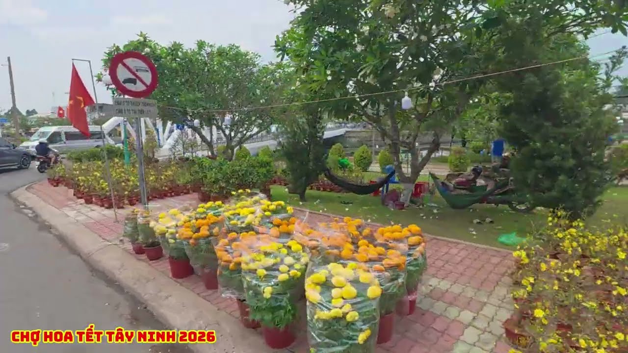 29 Tết Chợ Hoa Xuân Tây Ninh chủ bán rẻ mà Ít người mua