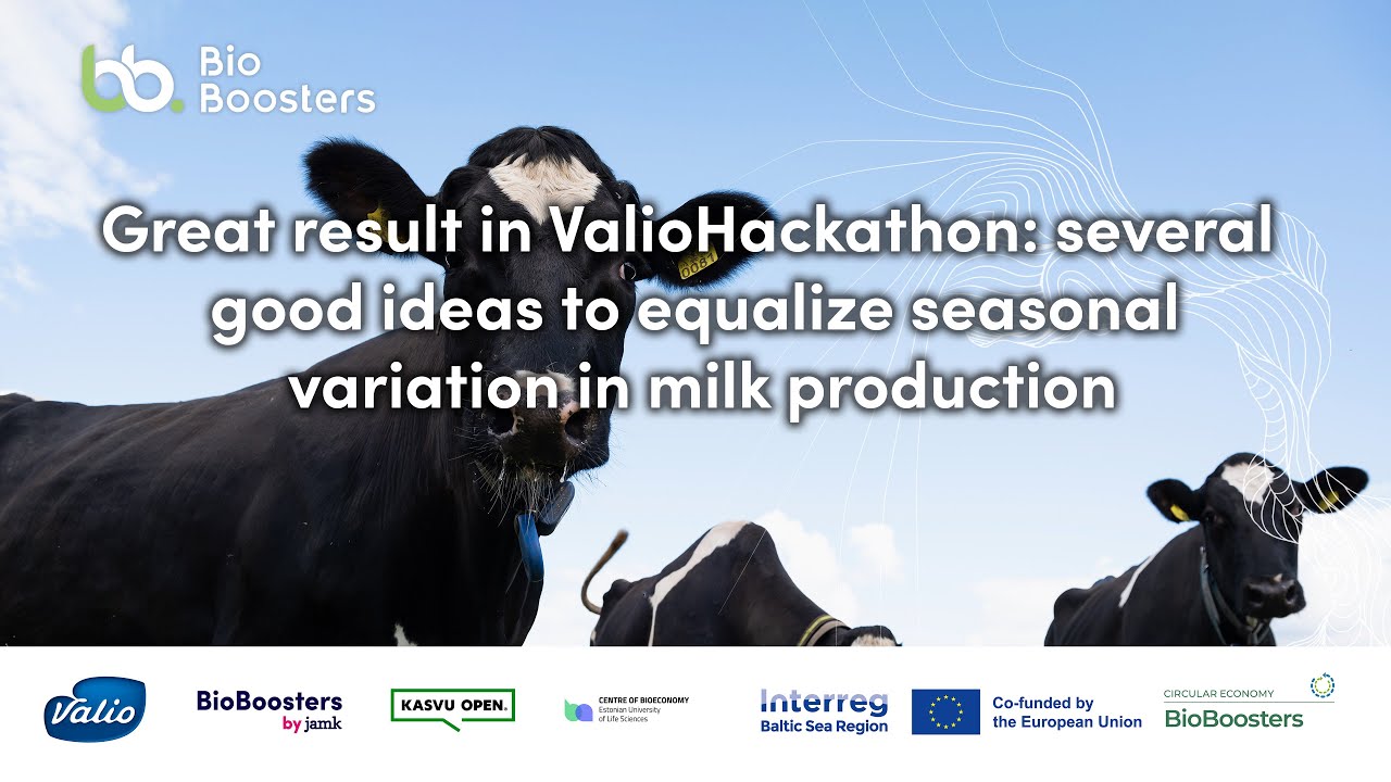 ValioHackathon Challenge Provider Interview