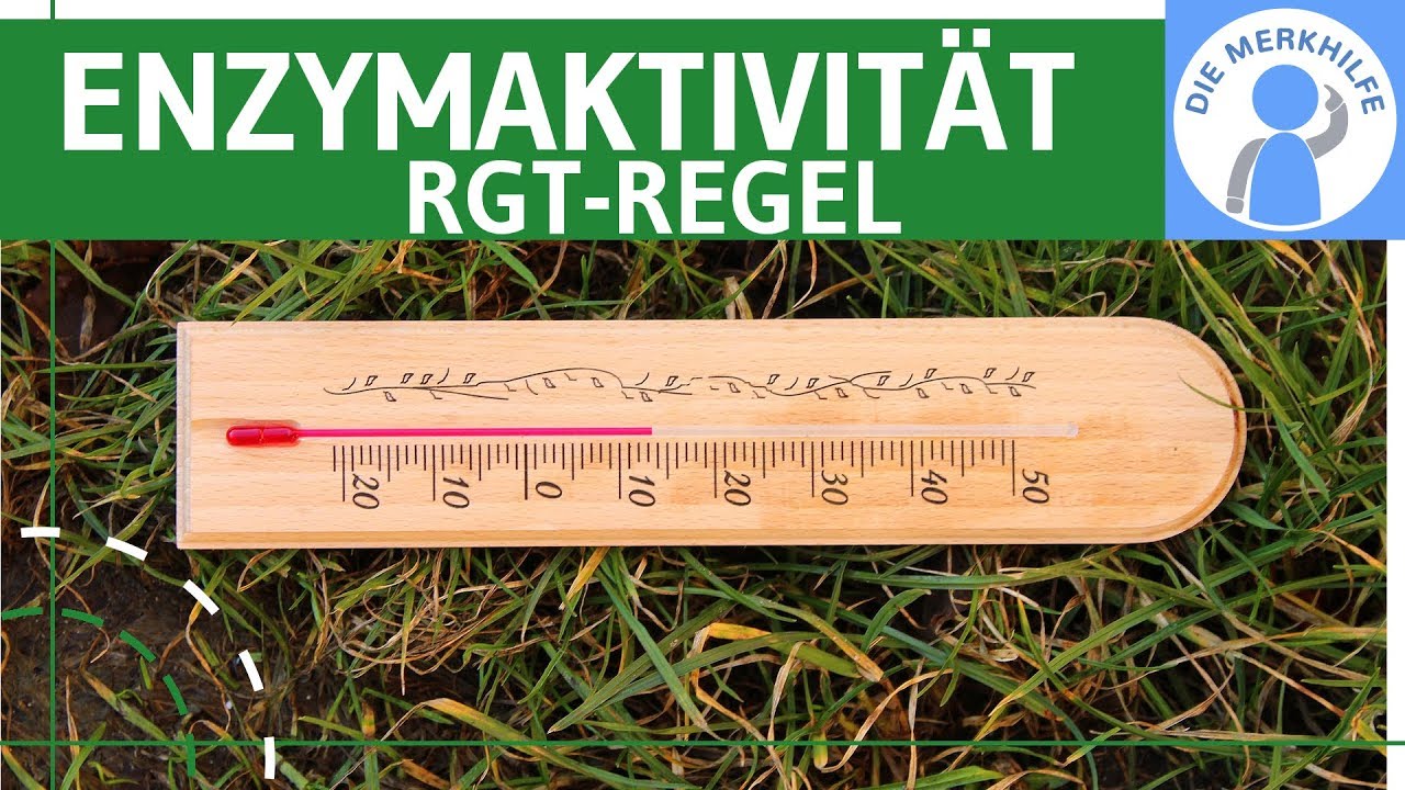 Beeinflussung der Enzymaktivit&auml;t & RGT-Regel & ph-Wert einfach erkl&auml;rt - Stoffwechselbiologie