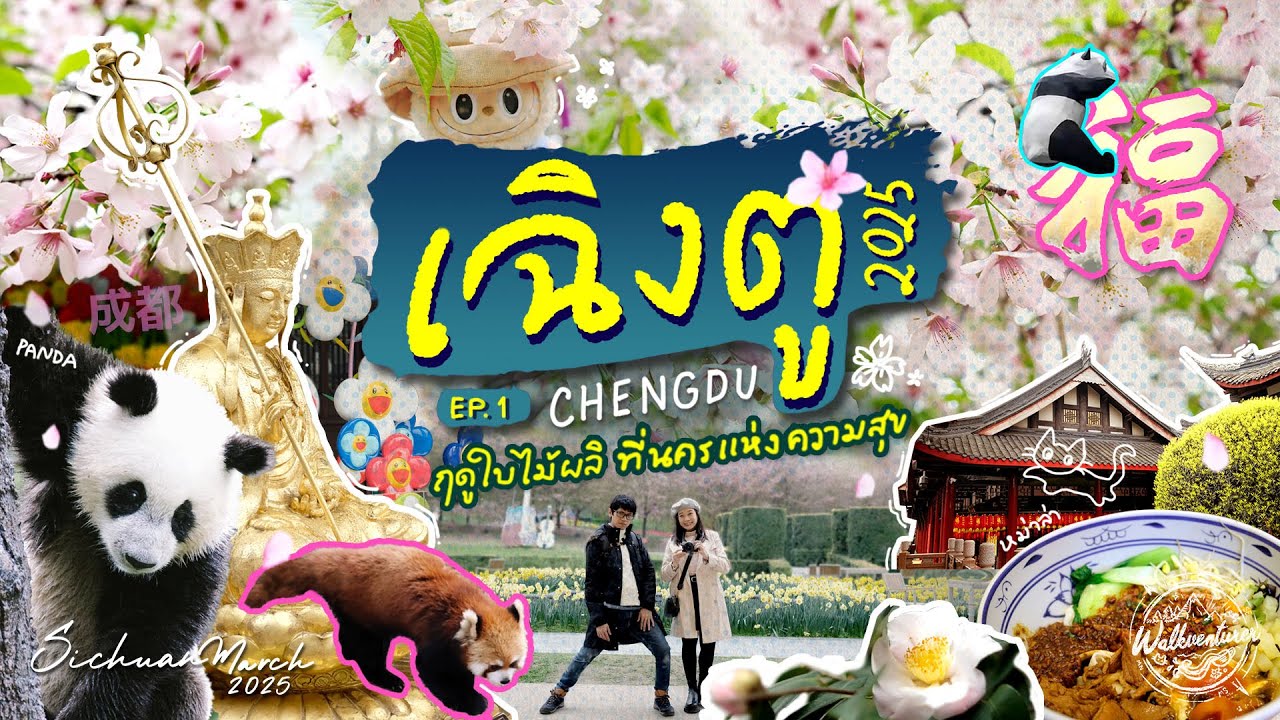 CHINA - CHENGDU | เฉิงตู ฤดูใบไม้ผลิ ดูหมีแพนด้า ชมสวนซากุระ ใน 1 วัน [เสฉวน EP 1/3]