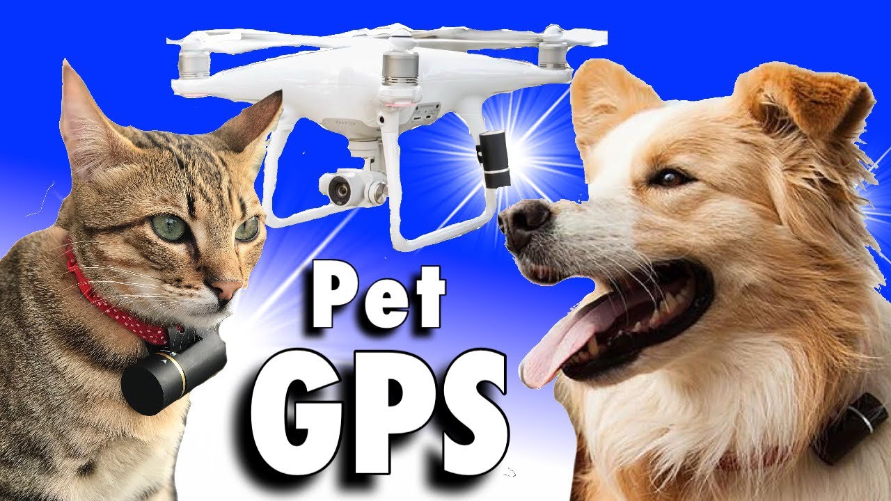 POD 3 Pet GPS Tracker - WiFi Pet Tracker & Activity Monitor