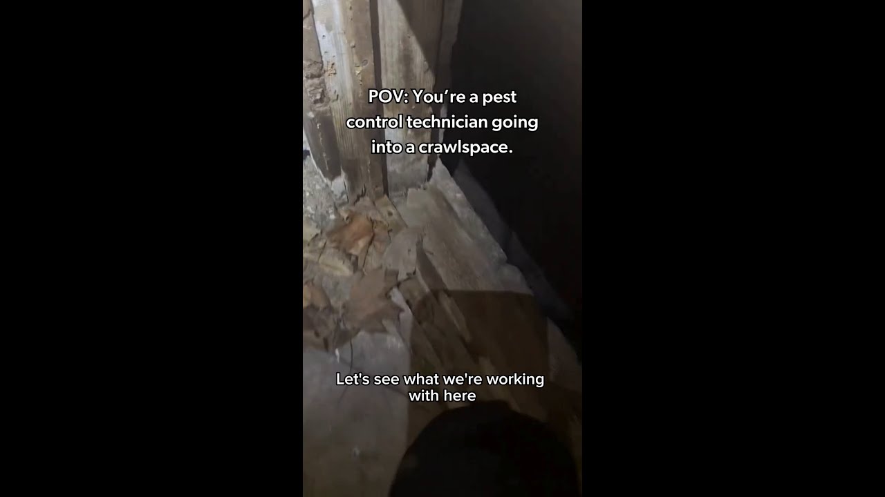 New fear of dark and spooky crawl spaces unlocked... 😨🔦
