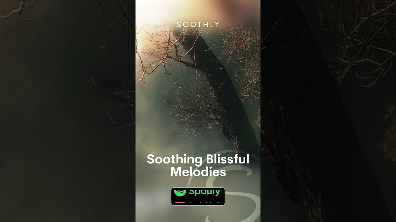 Soothing Blissful Melodies - Sleepy Nature Sounds #Shorts