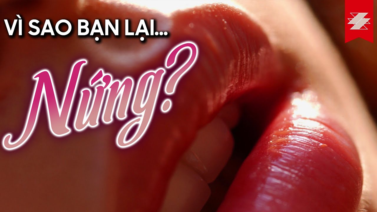 Vì sao lại NỨNG? Và tại sao đàn ông lại thích ngực? | SAMURICE