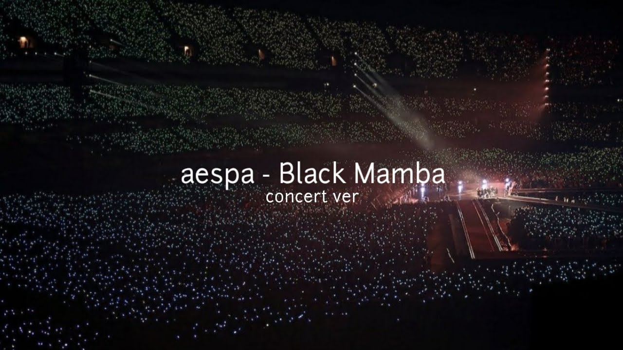 aespa - 블랙맘바Black Mamba 콘서트 버전 (함성+인트로)