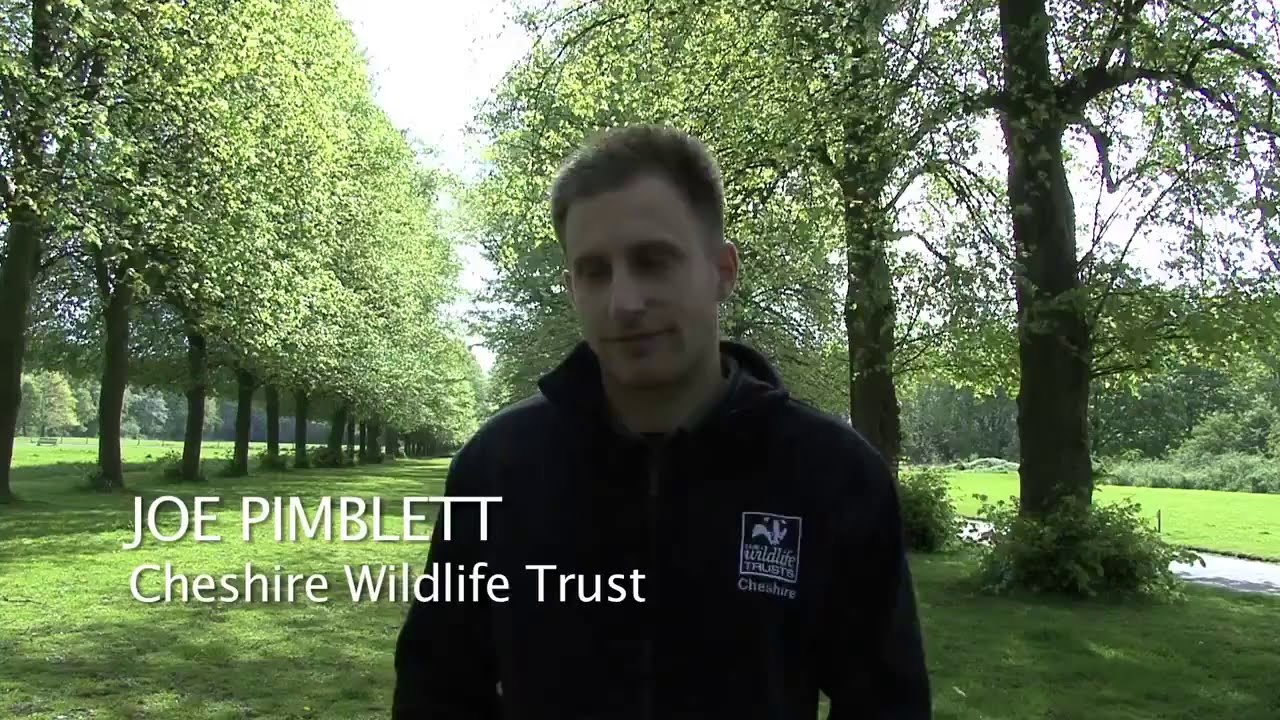 Biodiversity in the Weaver Valley (Documentary)