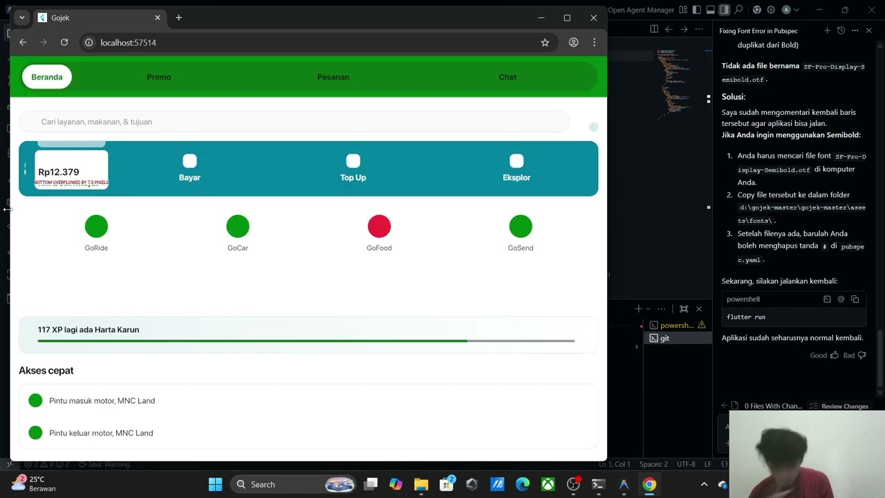 flutter2