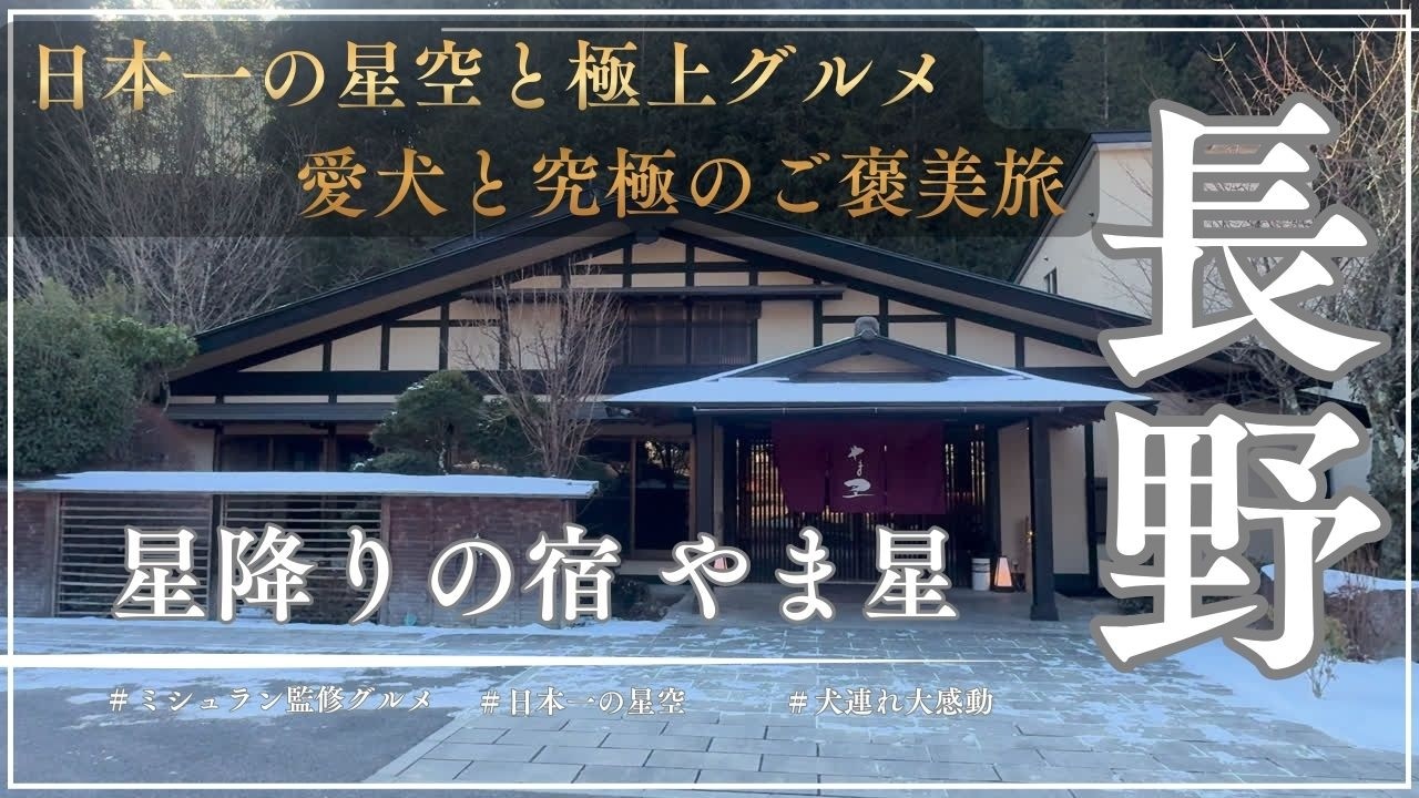 【愛犬とご褒美旅】ミシュラン監修グルメと日本一の星空！長野「やま星」と光前寺・馬籠宿を巡る絶景旅行