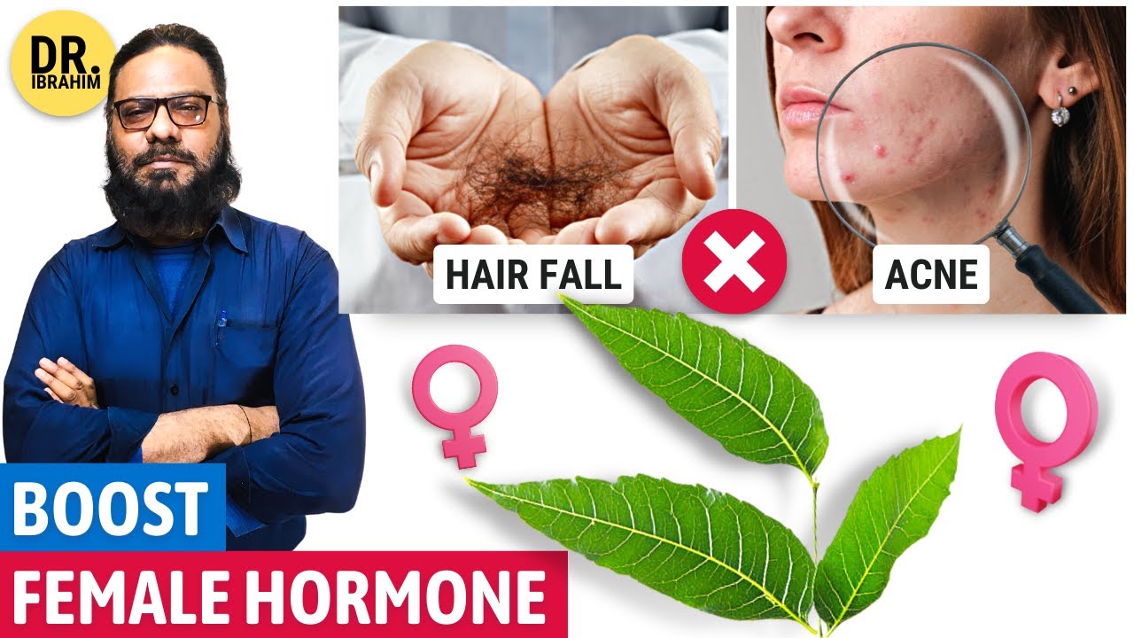 Female Hormones Ko Boost Karen! Bakain/Chinaberry Tree Uses | Urdu/Hindi | Dr. Ibrahim